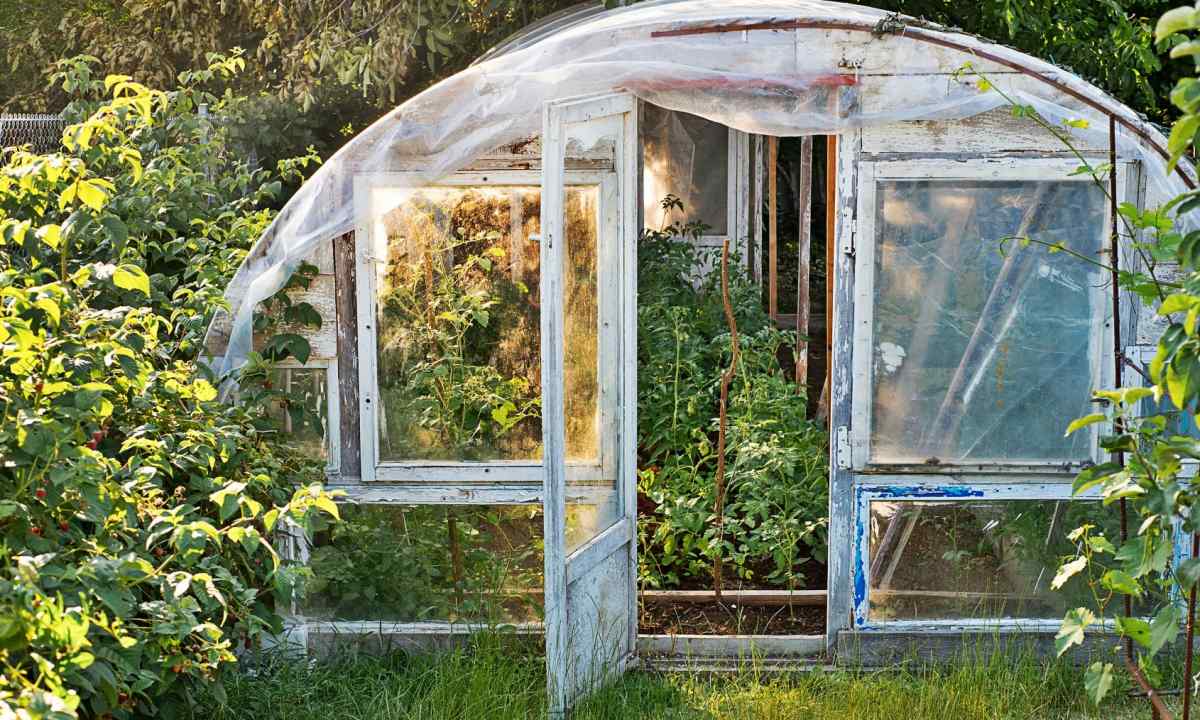 How to mark the earth under the greenhouse